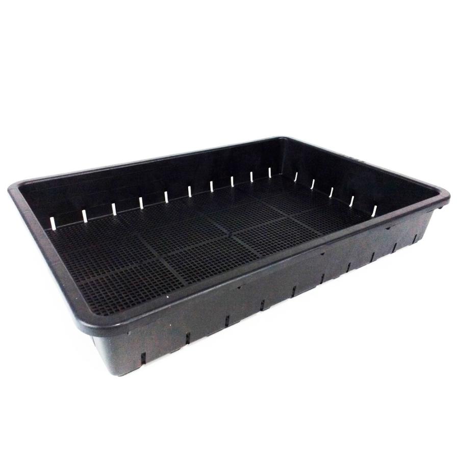 苗箱 安全興業 育苗箱 51型 内寸（約）477X326X76mm 穴：約3mm角 : コーナン