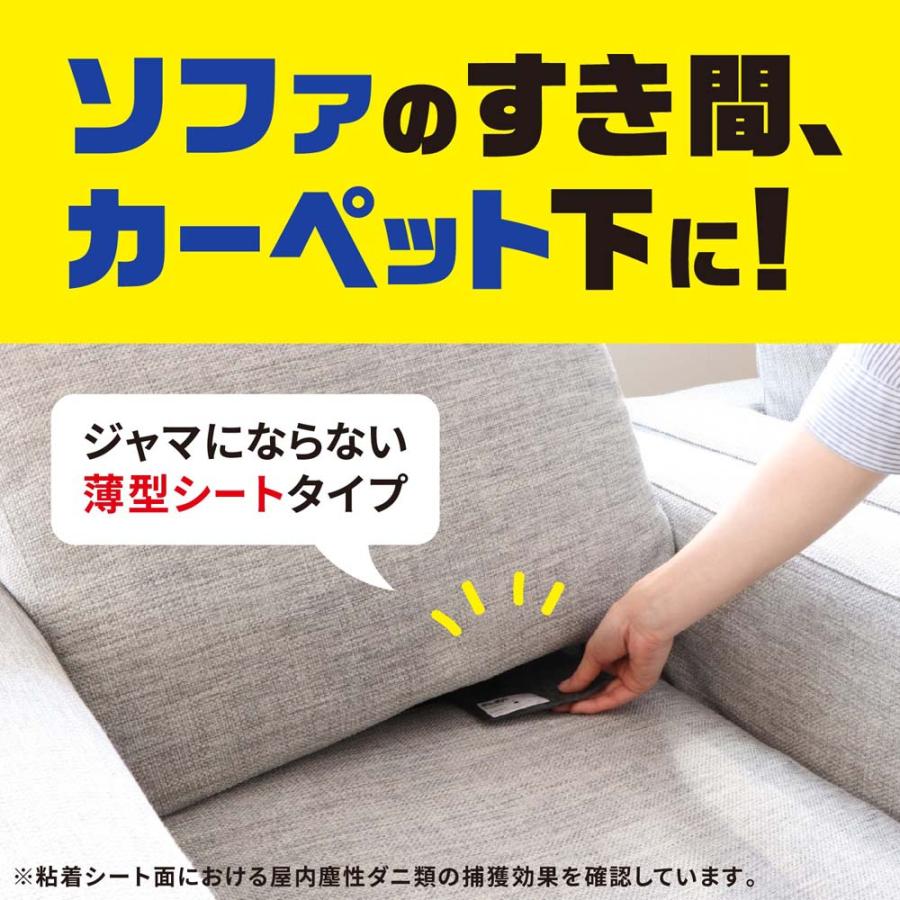 アース製薬 ダニがホイホイ ダニ捕りシート 2個パック 幅145×高 アース製薬 ダニがホイホイ ダニ捕りシート 2個パック 幅145×高