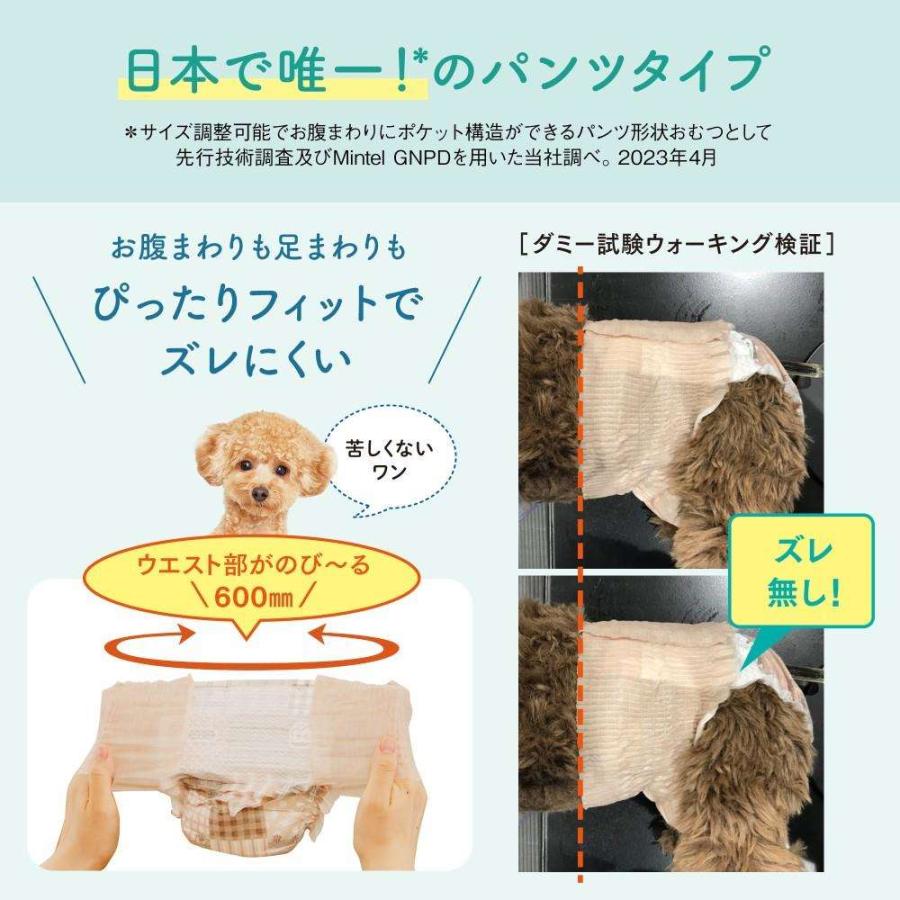 エリエール（elleair） 大王製紙 キミおもい アクティブウェア М−L