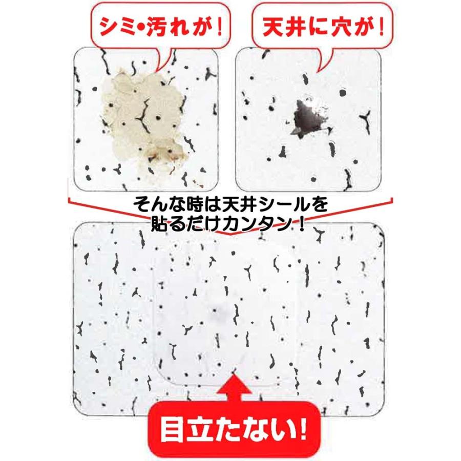 ポイント3倍 5/23-5/25】天井ボードの補修に！ 天井シール ジプトーン