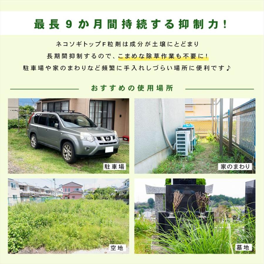 ◆レインボー薬品　ネコソギトップＦ　３ｋｇ