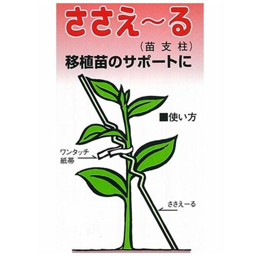渡辺泰 苗支柱ささえ る 10本入 ライトグリーン コーナンeショップpaypayモール店 通販 Paypayモール