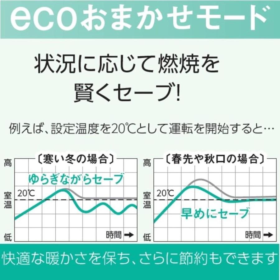 ダイニチ（Dainichi） ◇ダイニチ 石油ファンヒーター (木造9畳まで