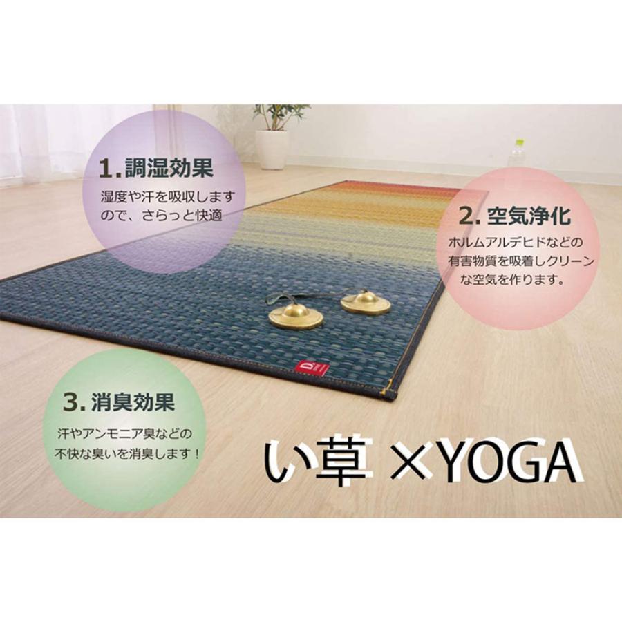 イケヒココーポレーション イケヒコ 日本製 国産 い草 ヨガマット
