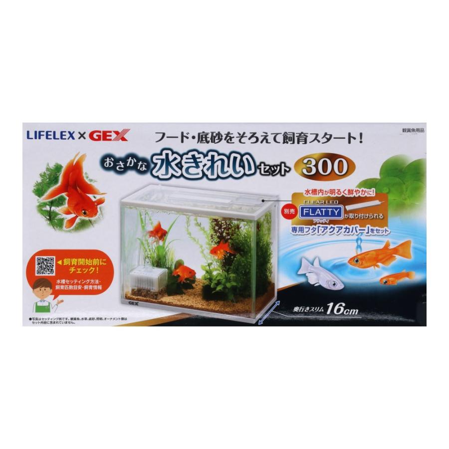 りんだまんさん専用水槽セット りんだまんさん専用水槽セット りんだまんさん専用水槽セット