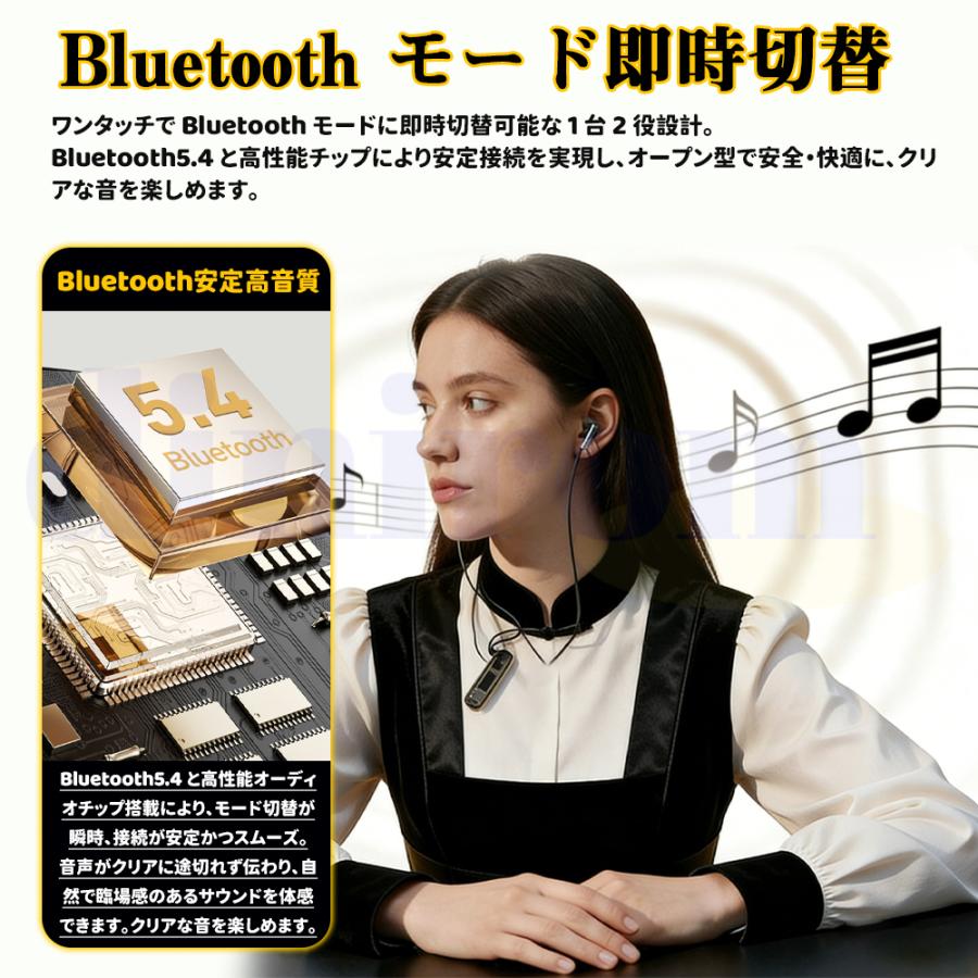 2026最新 集音器 イヤホン型 使いやすい クリップ型 デジタル両耳 片耳