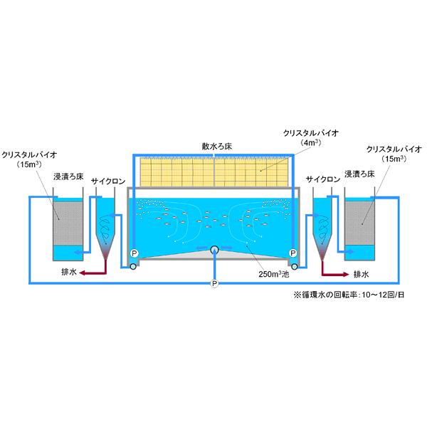 ニッケン 水質浄化材 クリスタルバイオ CB-100 (S) 10〜20mmの画像