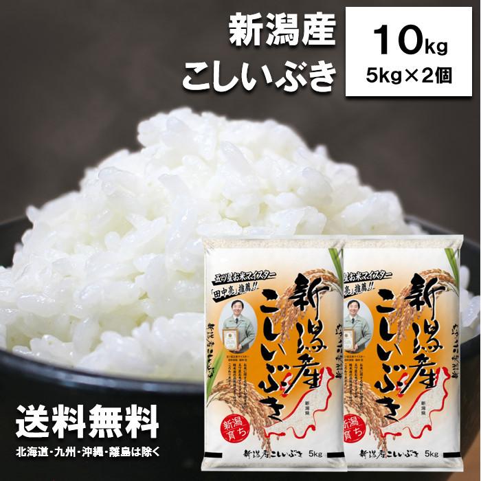 新米 田中米穀 新潟県産 こしいぶき 10kg （5kg×2袋） 【送料無料 