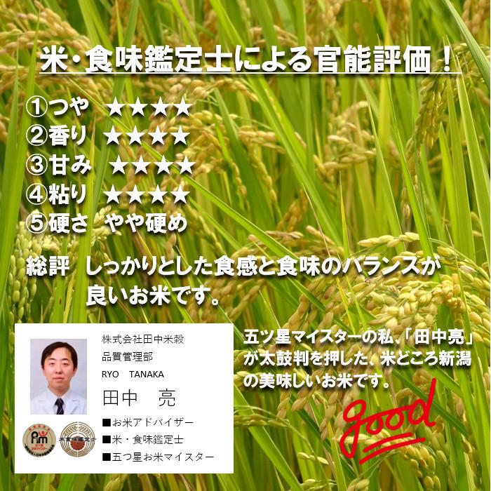 新米 田中米穀 新潟県産 こしいぶき 20kg（5kg×4袋） 【送料無料