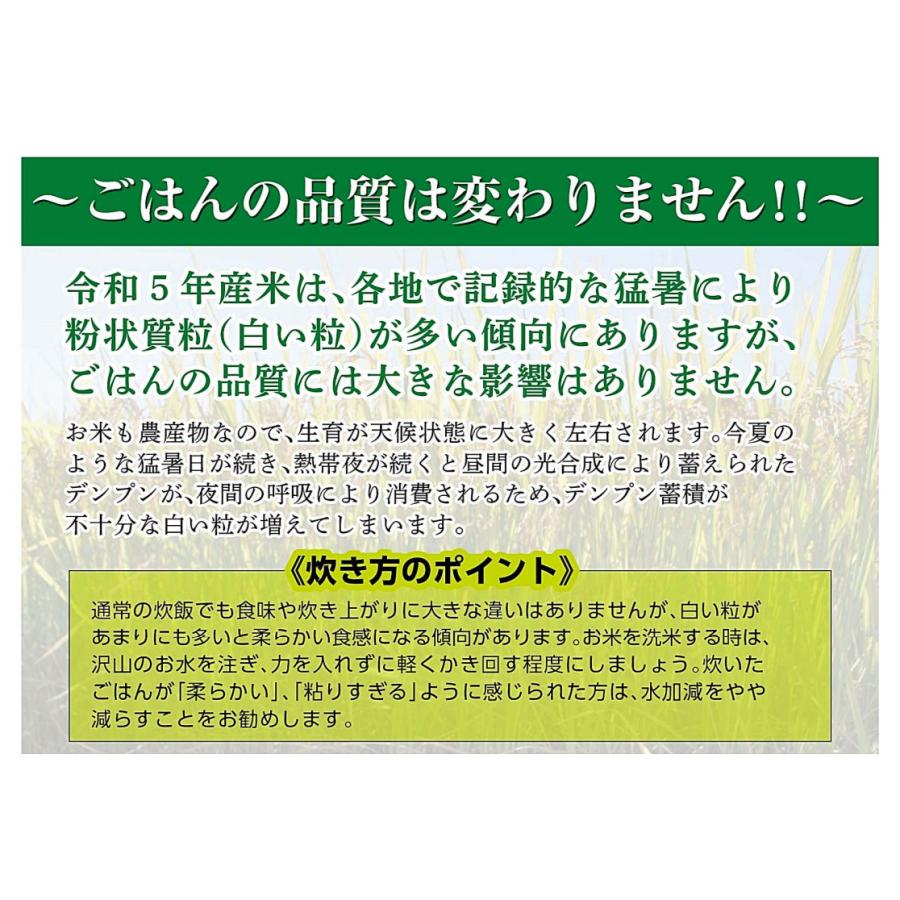 新米　田中米穀　新潟長岡産　こしひかり　10kg（5kg×2袋）【送料無料　北海道、九州、沖縄、離島を除く】　新潟県産　コシヒカリ　白米　ご飯　令和5年度産｜koiten｜02