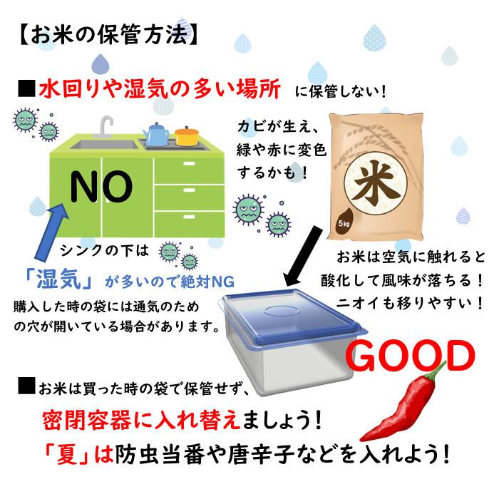 新米　田中米穀　新潟長岡産　こしひかり　10kg（5kg×2袋）【送料無料　北海道、九州、沖縄、離島を除く】　新潟県産　コシヒカリ　白米　ご飯　令和5年度産｜koiten｜08