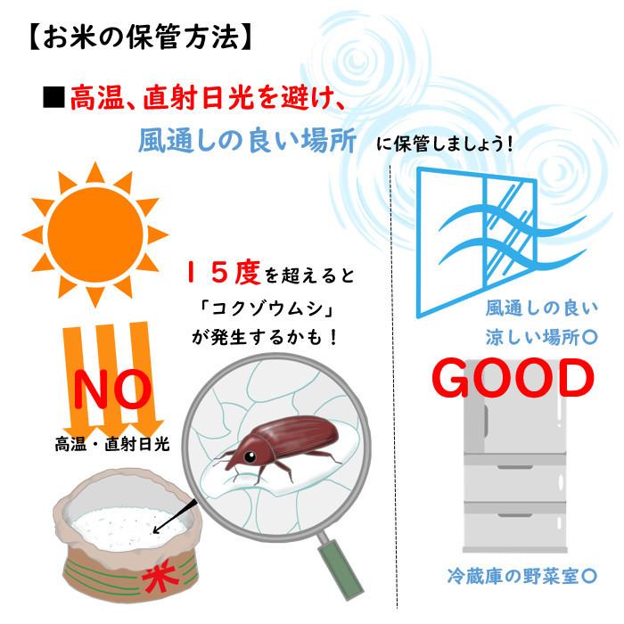 新米　田中米穀　新潟長岡産　こしひかり　20kg　（5kg×4袋）【送料無料　北海道、九州、沖縄、離島を除く】　新潟県産　コシヒカリ　白米　ご飯　令和5年度産｜koiten｜07