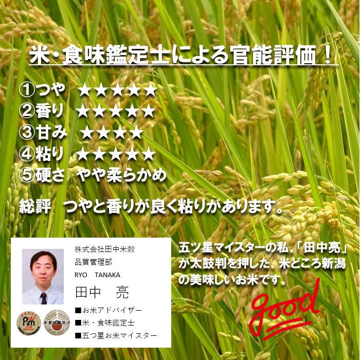新米 田中米穀 新潟魚沼産こしひかり20kg（5kg×4袋）【送料無料 北海道