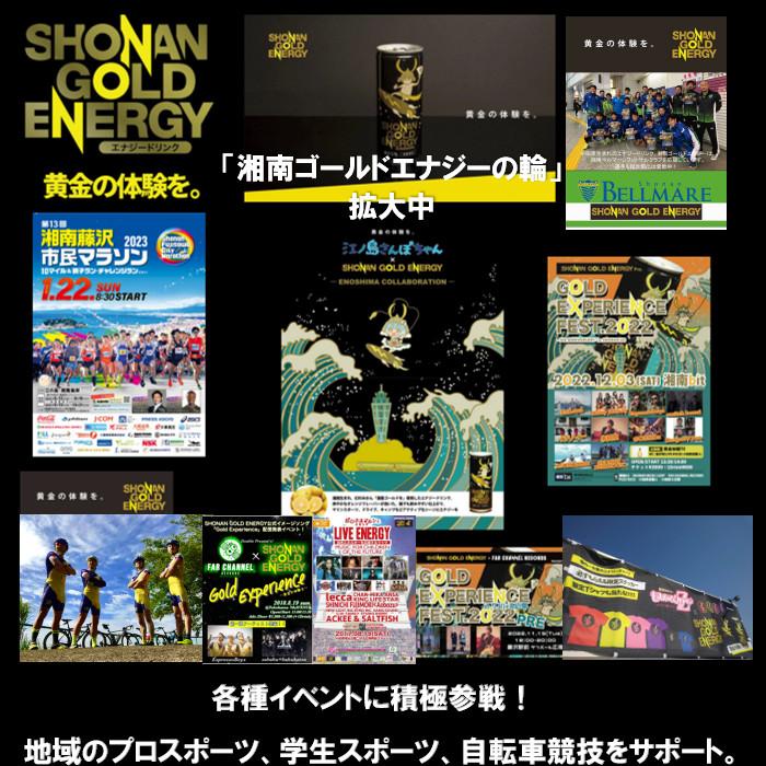 湘南ゴールドエナジーロゴ入りグッズ　全部セット(新品) 0c44314703d71487af3eea414806aa