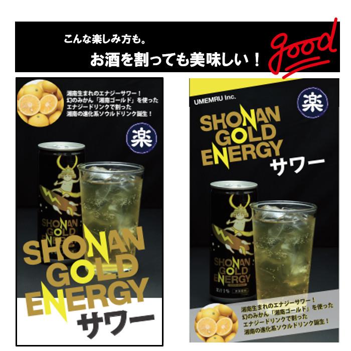 湘南ゴールドエナジー 250ml 1ケース 30本 【送料無料 北海道、九州