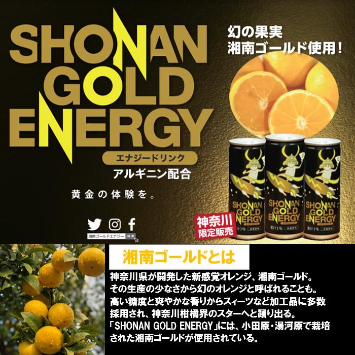 湘南ゴールドエナジー 250ml 3ケース 90本 【送料無料 北海道、九州