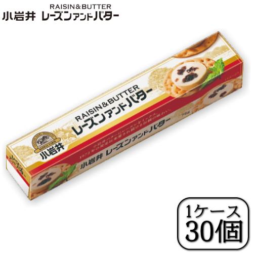 小岩井 小岩井レーズンアンドバター 75g×【1ケース30本セット