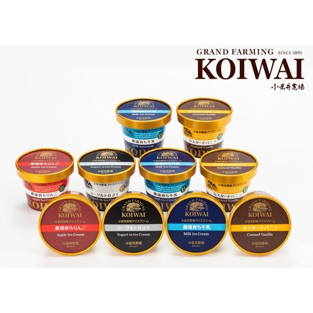 小岩井農場 特製アイスクリーム10個セット バニラ 牛乳 りんご ヨーグルト Www Thecharlienoble Com