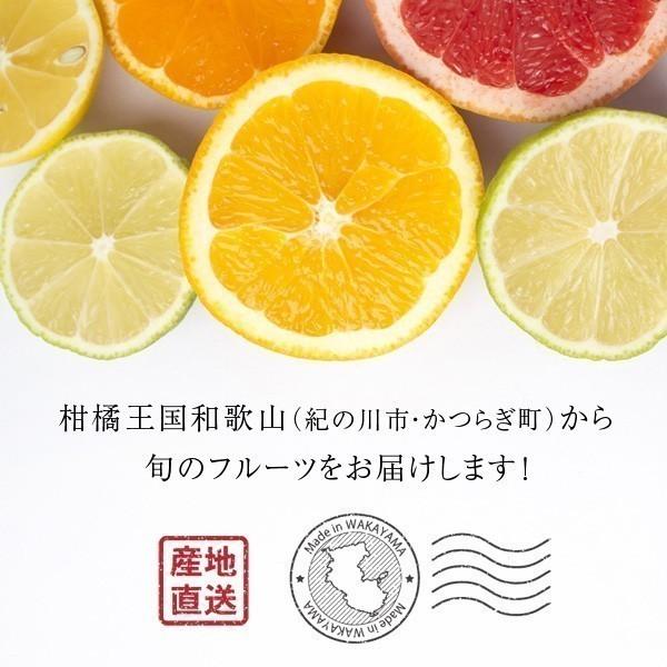 産地直送！和歌山産 甘夏と紅甘夏 2kg ［送料無料］｜koji-de-omiso｜02