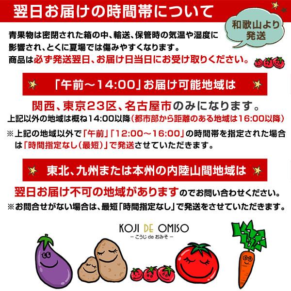 産地直送！和歌山産 紅八朔（紅はっさく）Mサイズ 約2kg 5〜6個 : koji