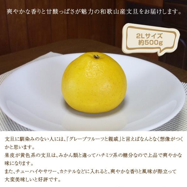 産地直送！ 和歌山産 文旦 1個 約500g : koji de omiso - 通販 - Yahoo
