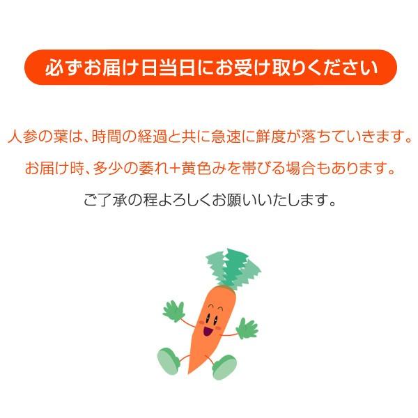 無農薬！和歌山産 朝採り間引き人参 200g □期日指定不可・発送