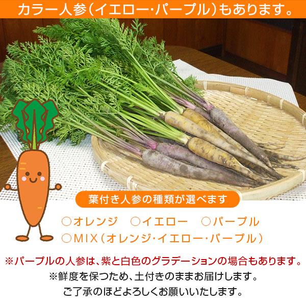 無農薬 和歌山産 朝採り葉付き人参 1kg［送料無料 ※北海道、沖縄は送料