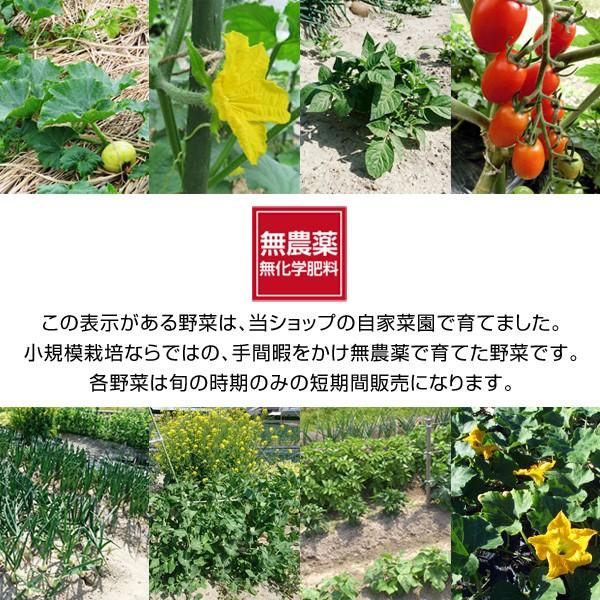 無農薬 朝採りえんどう豆 エンドウ豆 1 5kg 送料無料 北海道 沖縄は送料別途500円 期日指定不可 Endou1000 Koji De Omiso 通販 Yahoo ショッピング