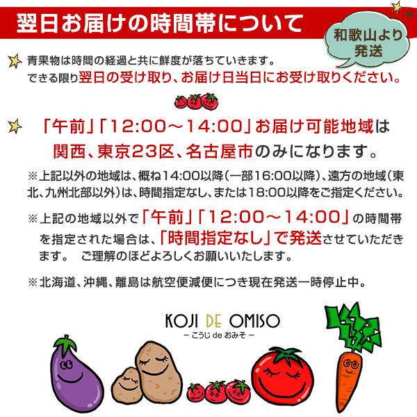 産地直送！ 和歌山産 いちじく 500g ※チルド便で発送 ■期日指定不可・発送翌日受取限定：お届け時間帯にご注意ください■｜koji-de-omiso｜02