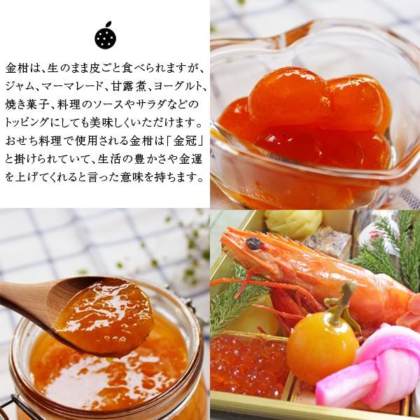 無農薬！ 和歌山産 金柑（きんかん）500g ※露地栽培・サイズ不揃い