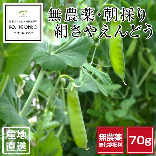 絹サヤ　100g　長崎離島　無農薬　初物 無農薬 和歌山産 朝採り 絹さや（さやえんどう）約70g □期日指定不可