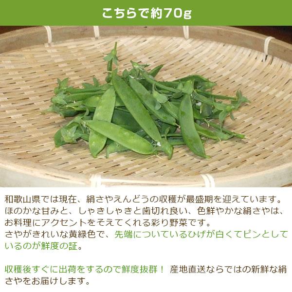 無農薬 和歌山産 朝採り 絹さや（さやえんどう）約70g □期日指定不可