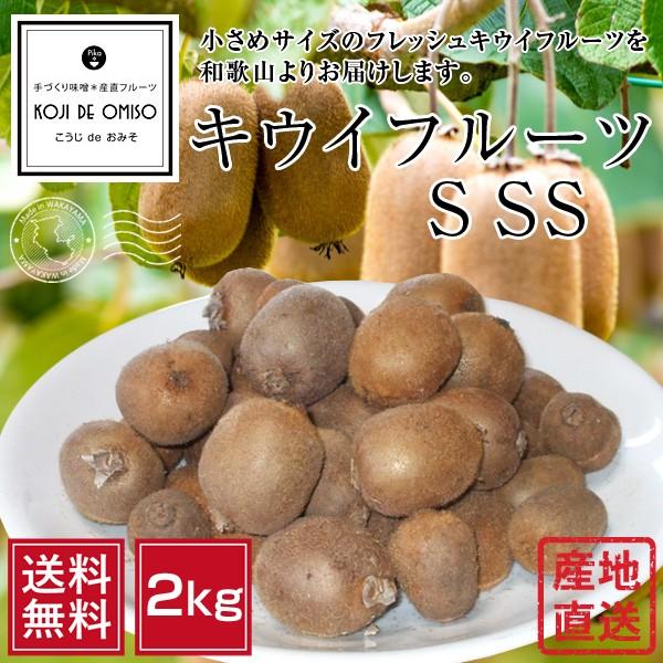 和歌山より産地直送 キウイフルーツs Ss 激安 新作 送料無料 2kg