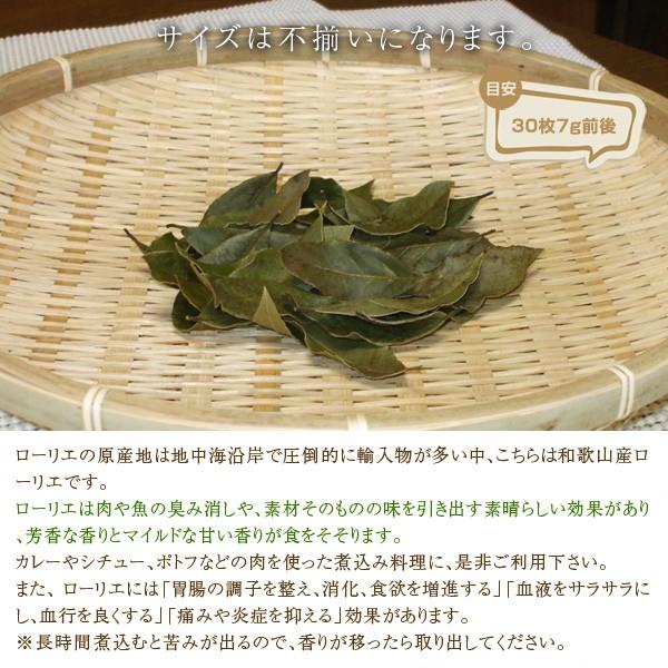 和歌山産 無農薬 乾燥ローリエ 月桂樹 30枚 Laurel30 Koji De Omiso 通販 Yahoo ショッピング