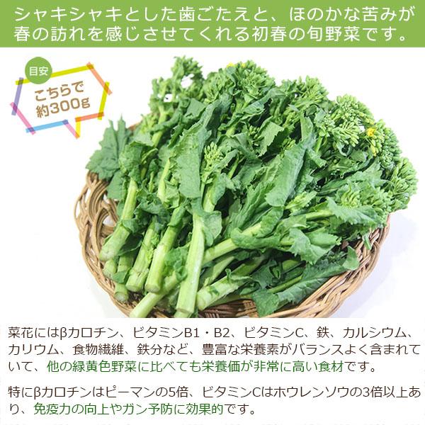 無農薬 和歌山産 朝採り菜花（菜の花）300g □翌日受取限定 ※翌日お