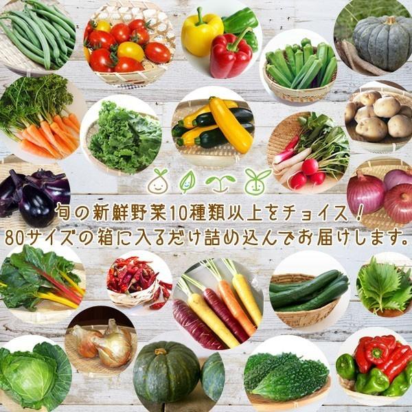 和歌山より産地直送！ おまかせ旬野菜（10種類以上）と手づくり生甘酒 3本［送料無料］ ■期日指定不可・発送翌日受取限定■｜koji-de-omiso｜04