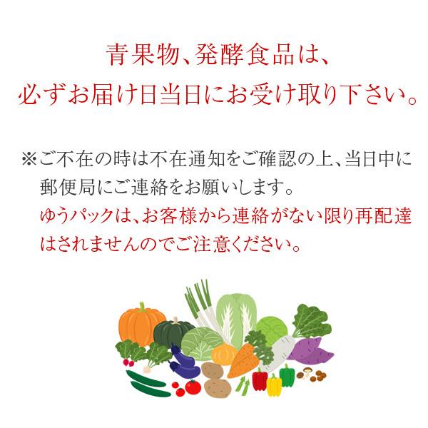 産地直送！ おまかせ旬野菜セット 10種類以上+いちじく［送料無料］■期日指定不可・発送翌日受取限定：お届け時間帯にご注意ください■｜koji-de-omiso｜12