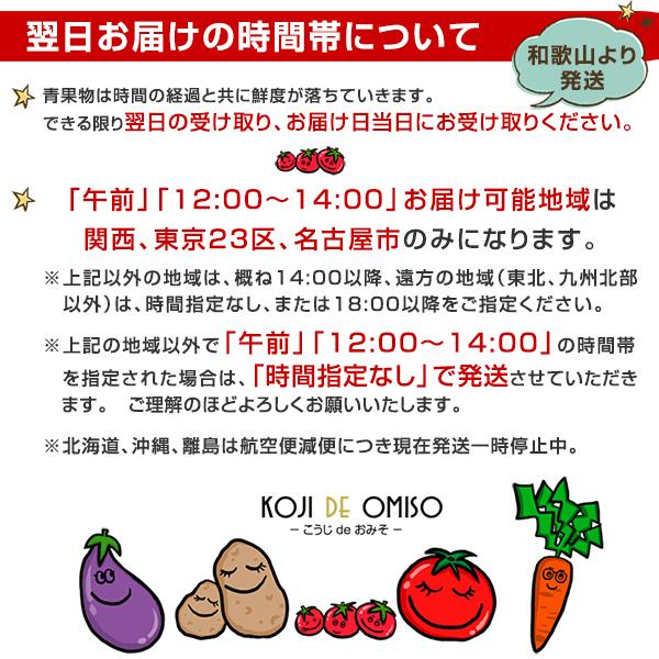 和歌山より産地直送！ おまかせ旬野菜セット 10種類以上［送料無料］※内容の指定不可 ■期日指定不可・発送翌日受取限定：お届け時間帯にご注意ください■｜koji-de-omiso｜02