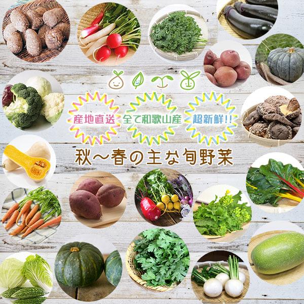 和歌山より産地直送！ おまかせ旬野菜セット 10種類以上［送料無料］※内容の指定不可 ■期日指定不可・発送翌日受取限定：お届け時間帯にご注意ください■｜koji-de-omiso｜05