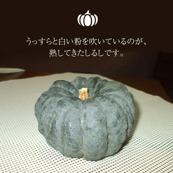 無農薬 和歌山産 小さな日本かぼちゃ 約1kg □期日指定不可□ : koji