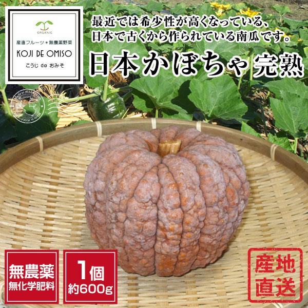 無農薬 和歌山産 日本かぼちゃ完熟 1個約600g : koji de omiso - 通販