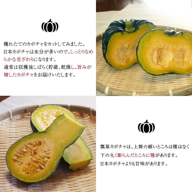 無農薬 和歌山産 日本かぼちゃ3種セット ［送料無料 ※北海道、沖縄は