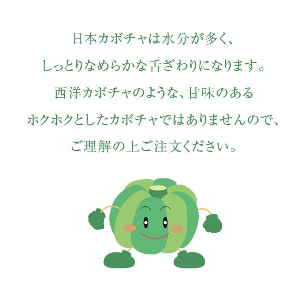 無農薬 和歌山産 日本かぼちゃ 約1kg 1〜2個 : koji de omiso - 通販