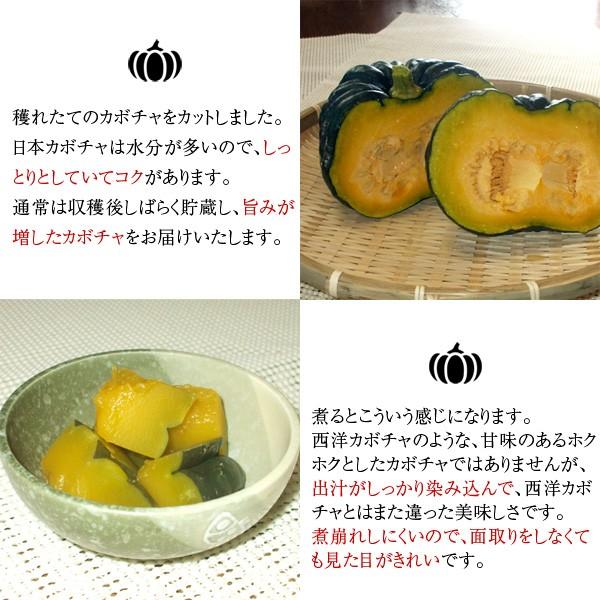 無農薬 和歌山産 日本かぼちゃ 約1kg 1〜2個 : koji de omiso - 通販