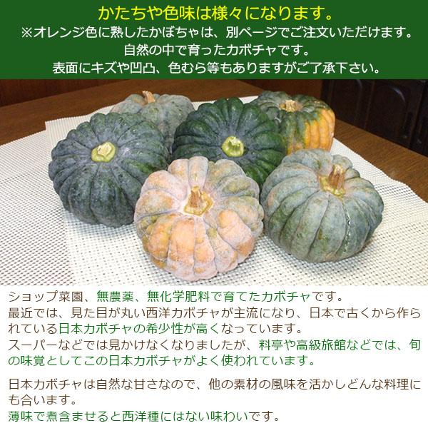 【無農薬!!南瓜(かぼちゃ)】大きさMix 30個 訳あり 無農薬!!南瓜(かぼちゃ)】大きさMix 30個 訳あり