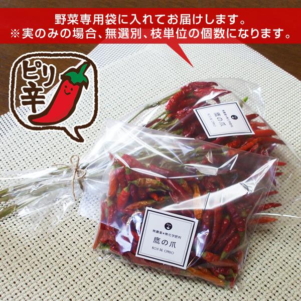 産地直送 和歌山産 枝付き乾燥 赤唐辛子 鷹の爪 3 9本 Redpp Dry2 Koji De Omiso 通販 Yahoo ショッピング