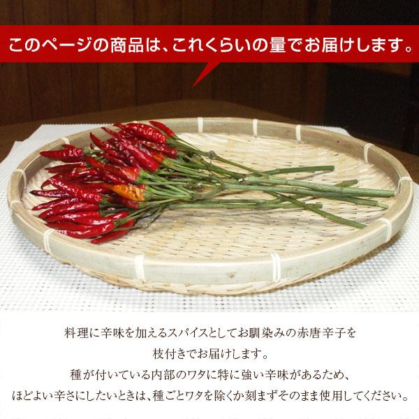 産地直送 和歌山産 枝付き乾燥 赤唐辛子 鷹の爪 3 9本 Redpp Dry2 Koji De Omiso 通販 Yahoo ショッピング