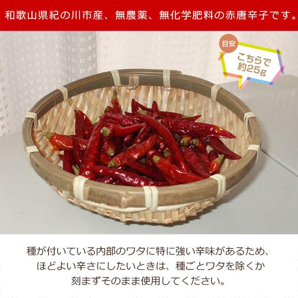 産地直送! 和歌山産 無農薬 乾燥 赤唐辛子(国産・鷹の爪)25g 産地直送! 和歌山産 無農薬 乾燥 赤唐辛子(国産・鷹の爪)25g