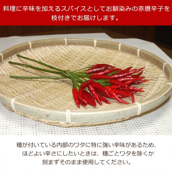 産地直送！ 和歌山産 無農薬 枝付き 生赤唐辛子（鷹の爪） : koji de