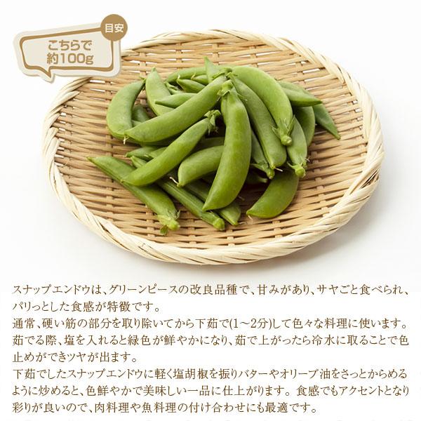 無農薬 和歌山産 朝採り スナップエンドウ 100g □期日指定不可・発送 